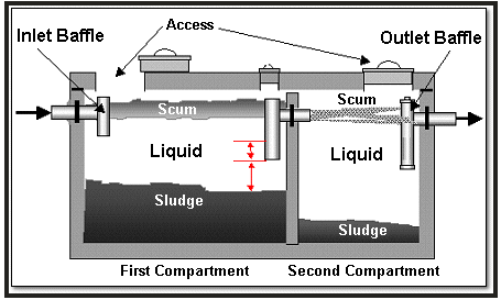 How do i increase bacteria in my septic tank